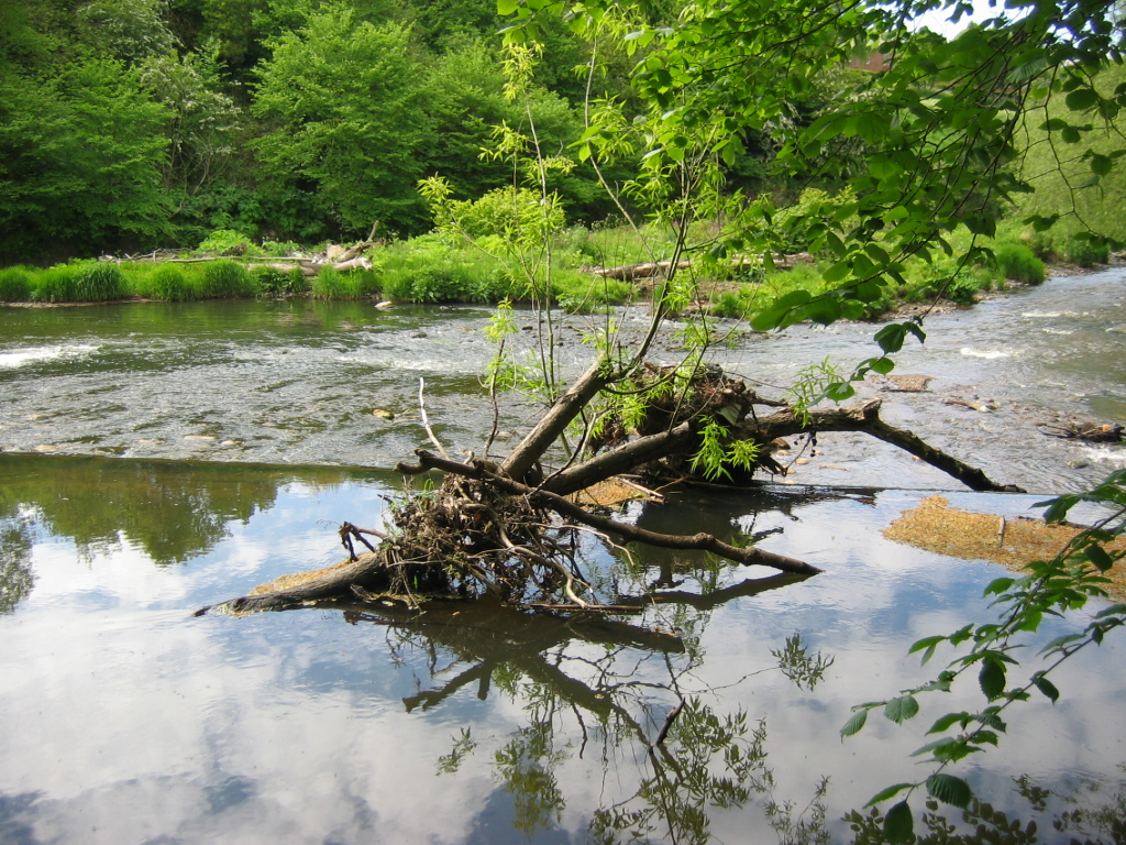 OLH: Histories of Private Environmental Law: part III - Water