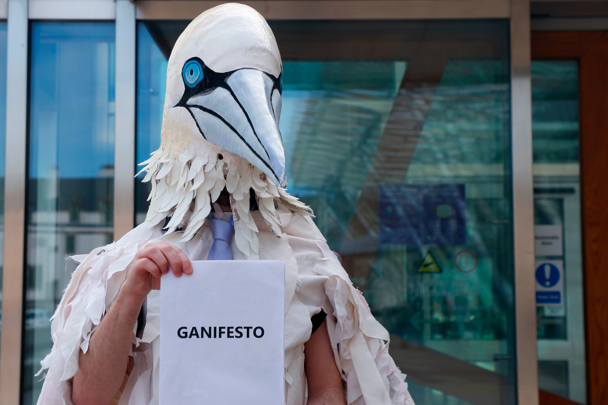 Man in giant bird costume running for Holyrood