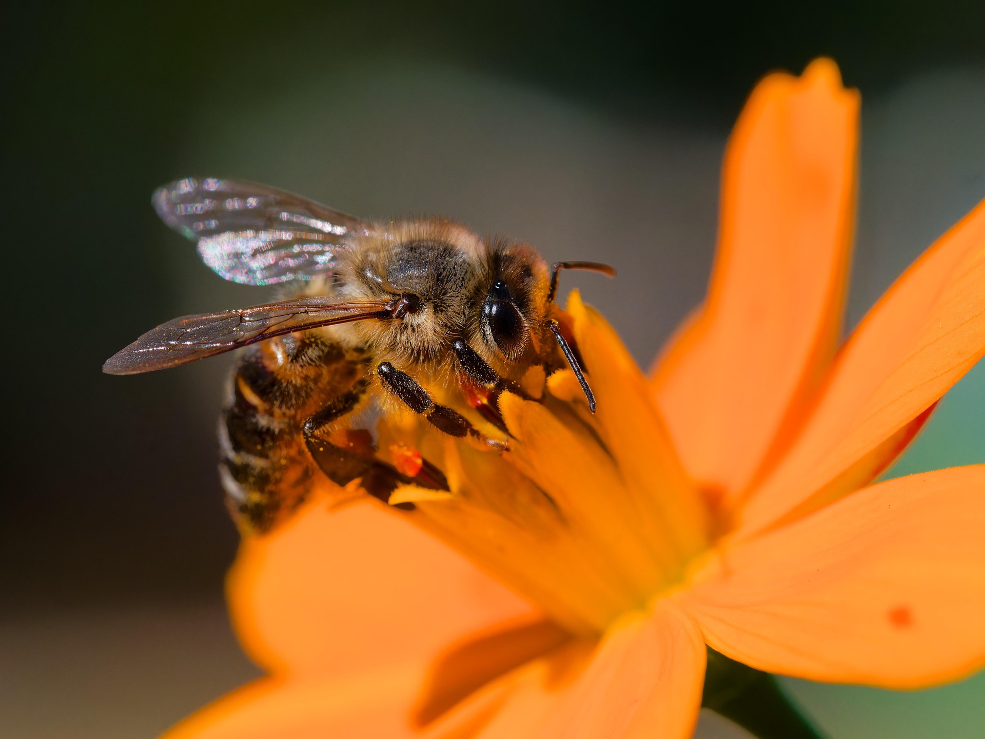 And finally... beehave