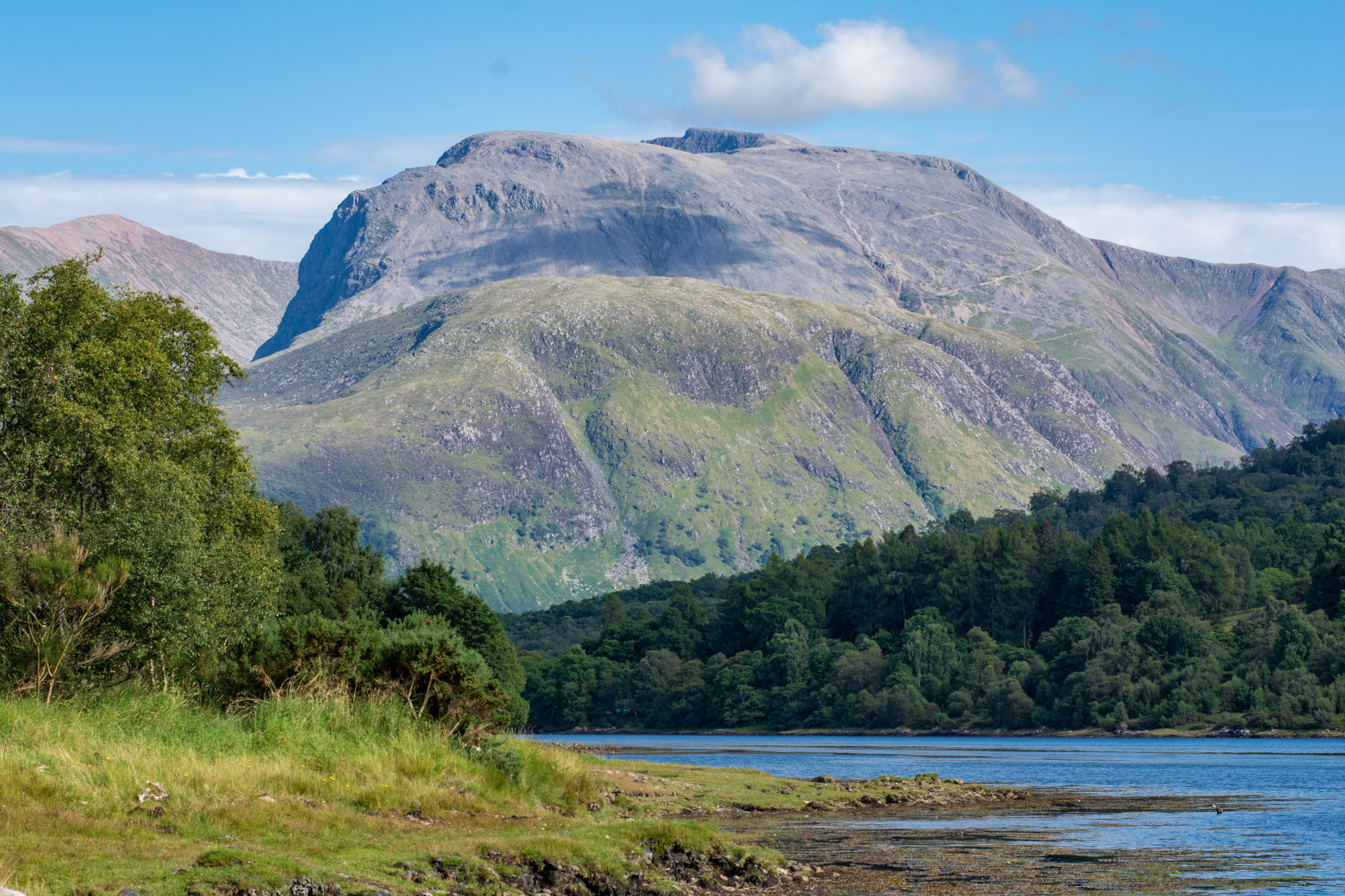 Charities to raise banner of shared parenting on mountain peaks
