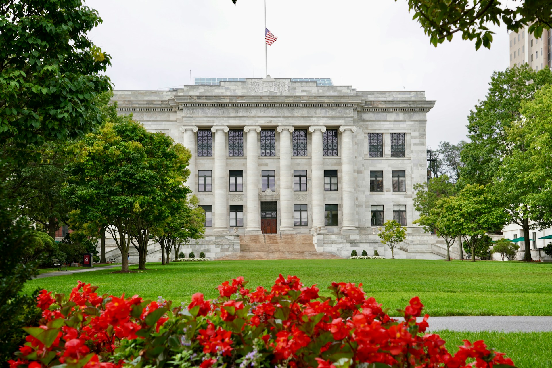 US: Harvard agrees $53m settlement over stolen human remains