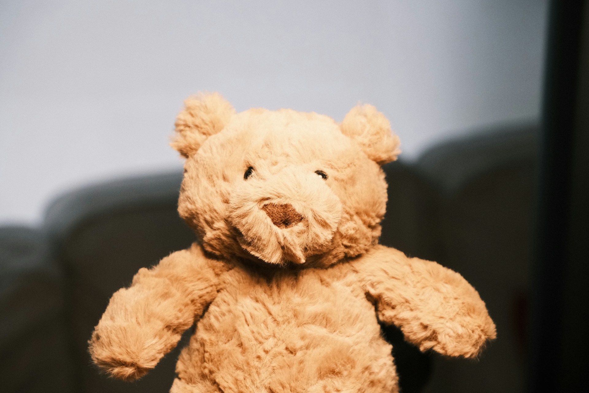 Jellycat sues Home Bargains owner over alleged copycat toys