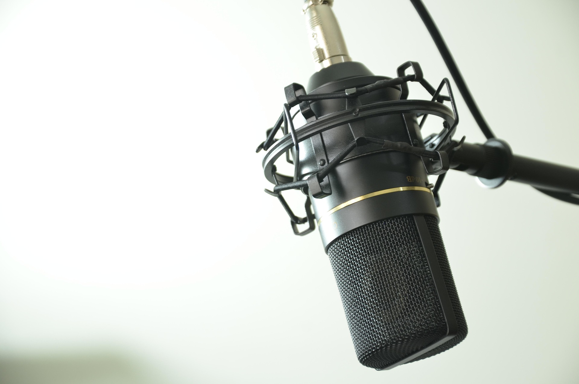 Crime podcast steals show with another award win