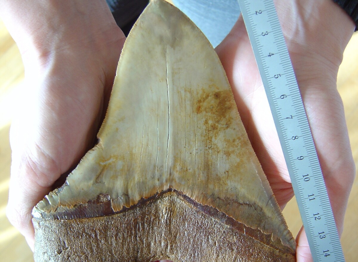 Featured article image