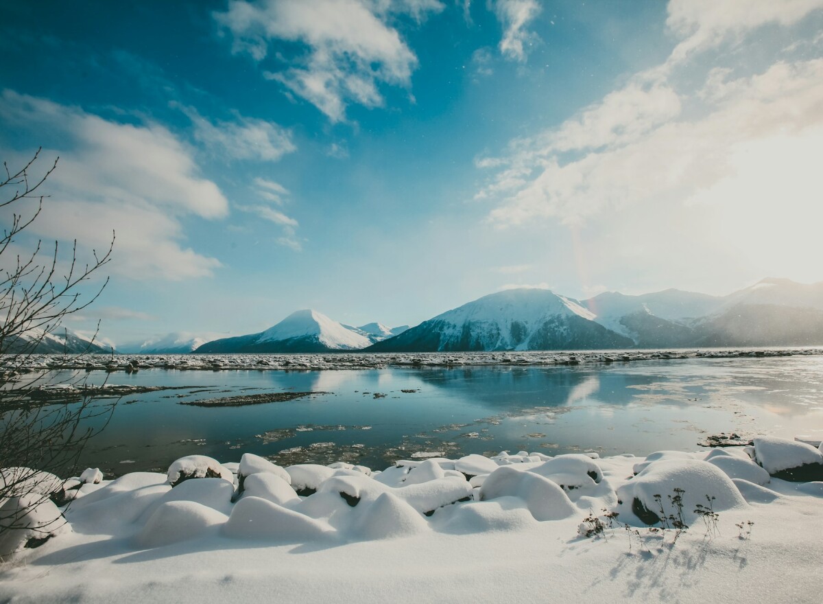 Featured article image