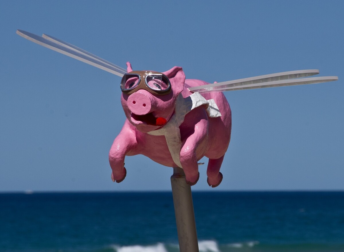 Featured article image