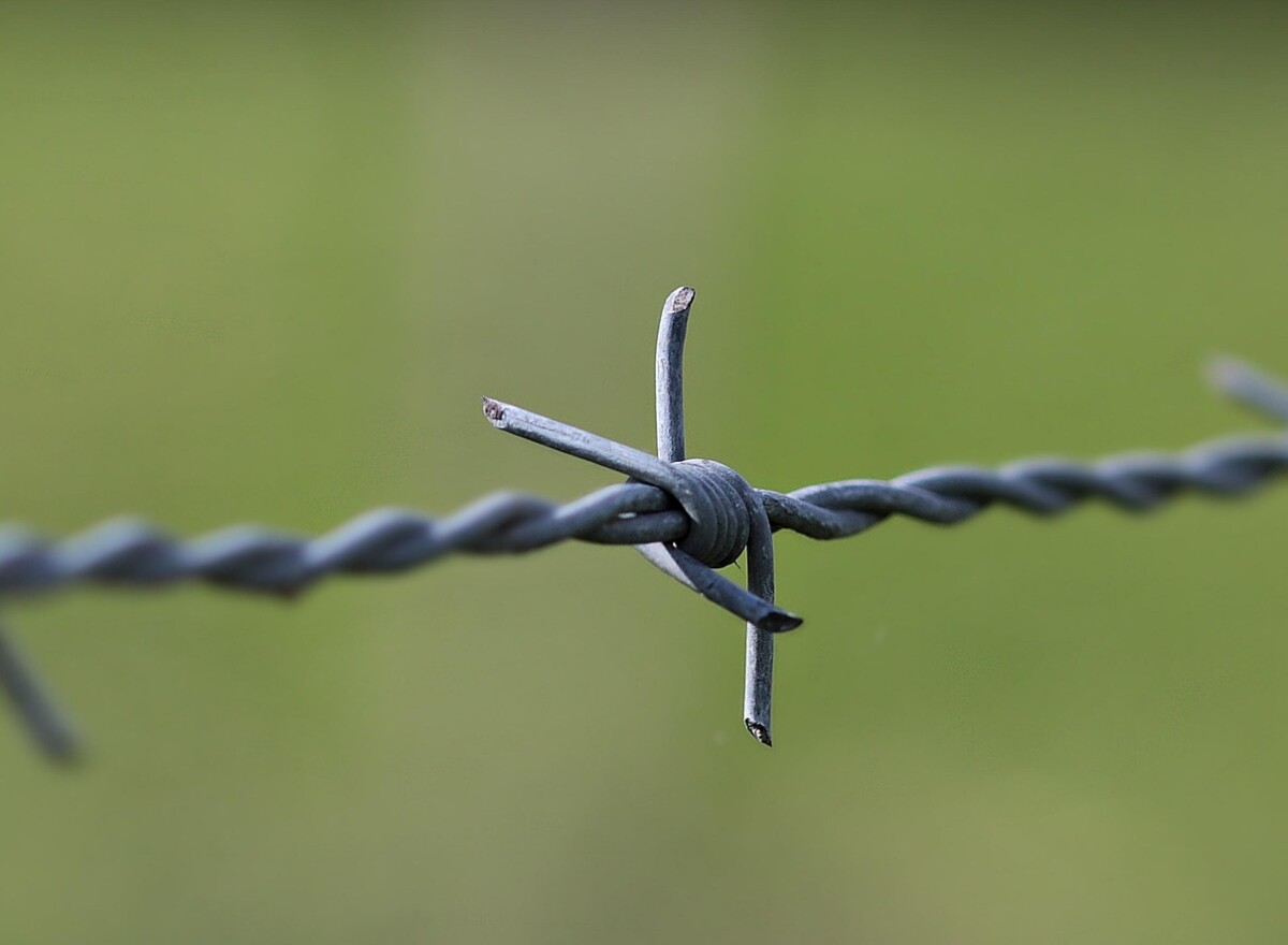 Featured article image