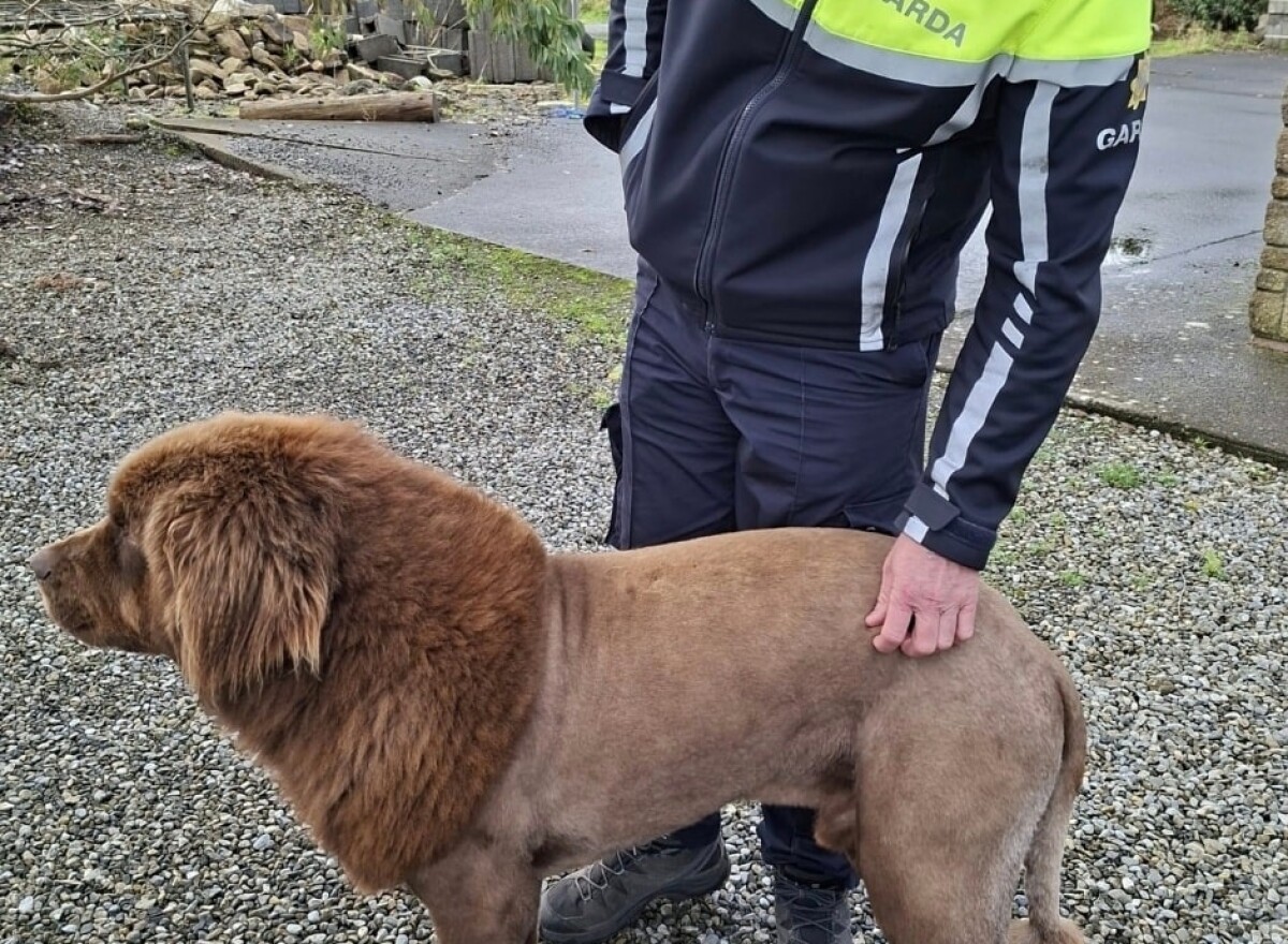 Featured article image