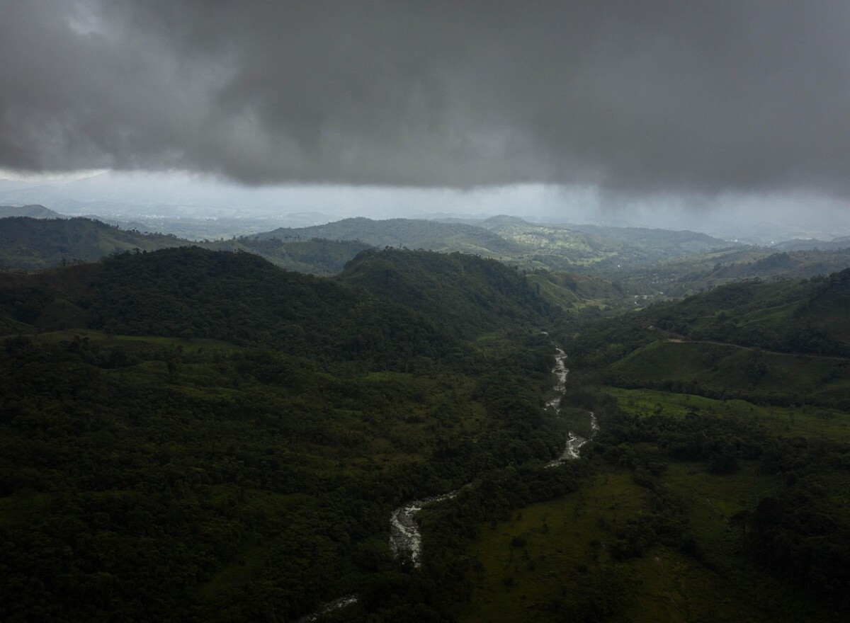Featured article image