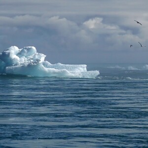 A global surge in climate litigation: key cases and insights - Vimarsana News