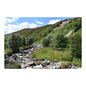 Five-year plan for future land tax reform