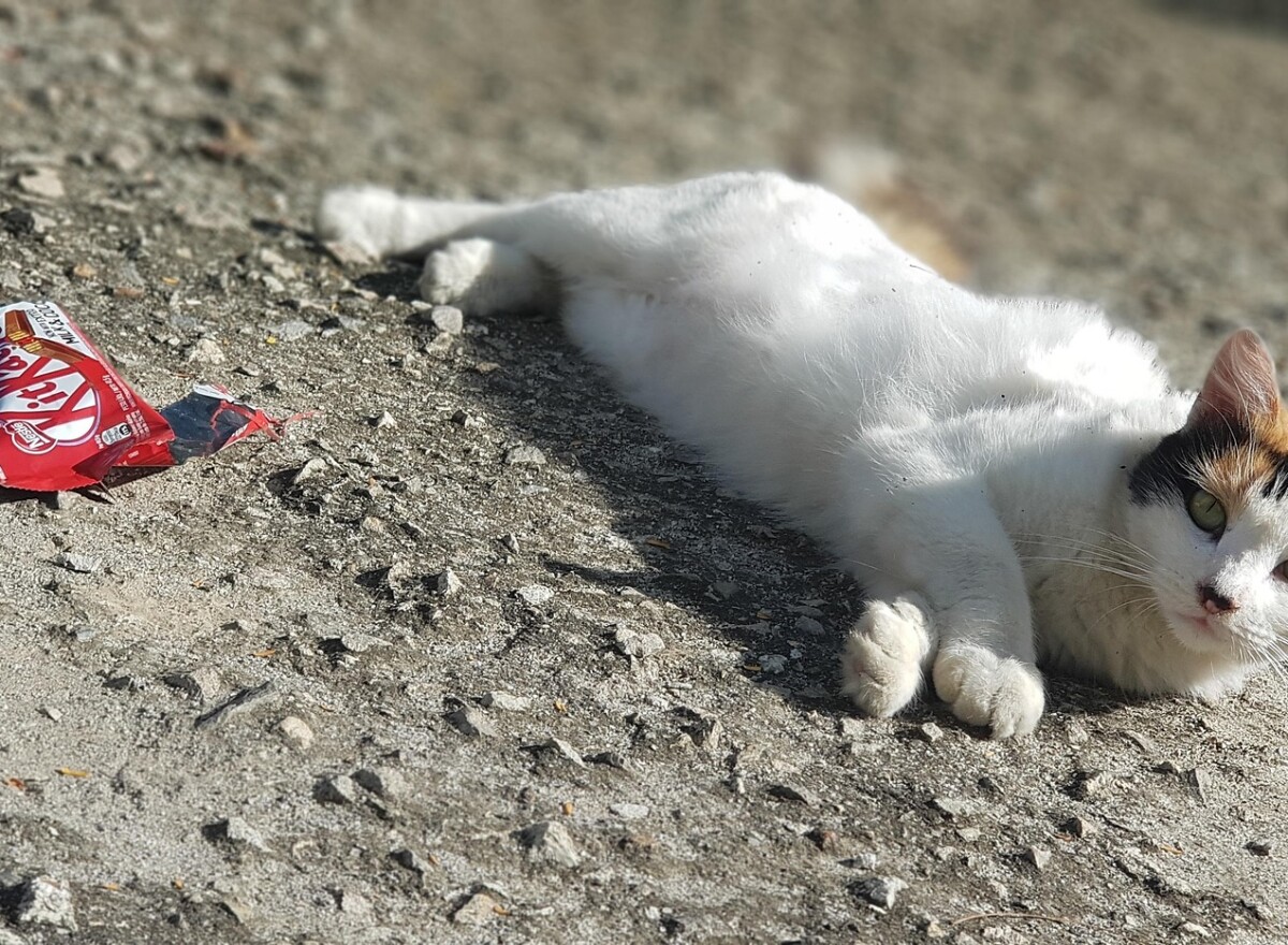 Featured article image