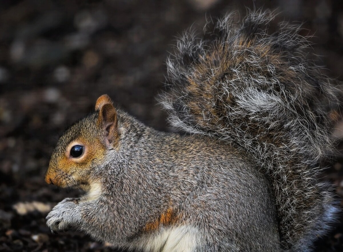 Featured article image