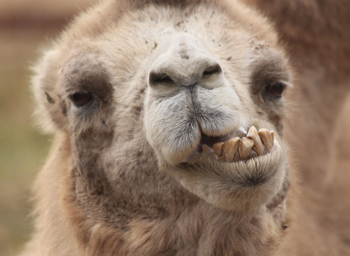 Featured article image