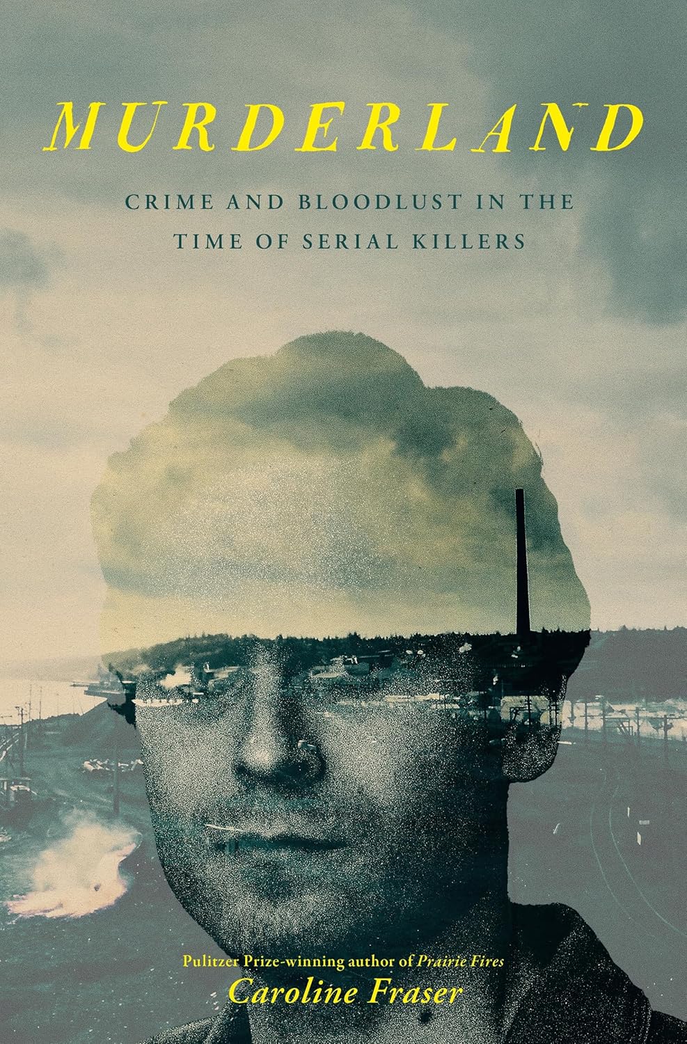 Review: Linking industrial pollution to a cluster of serial killers