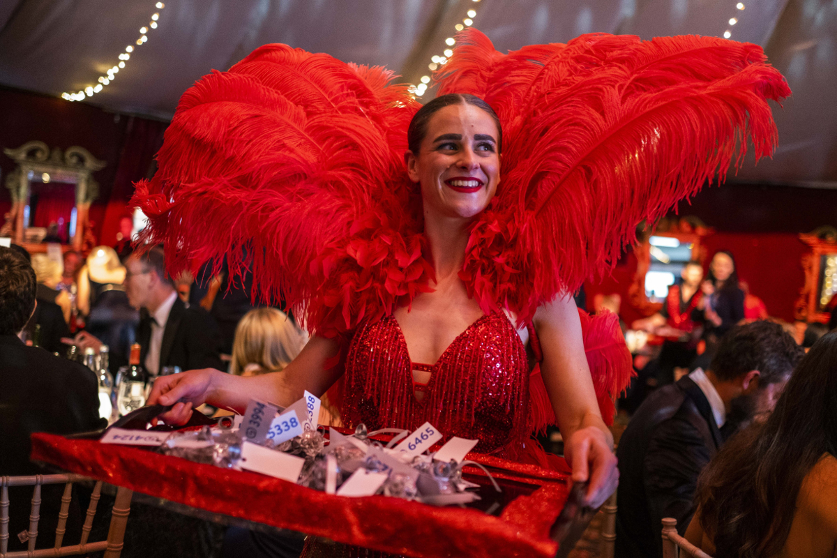 Dazzling silent auction raises roof at circus-themed fundraiser