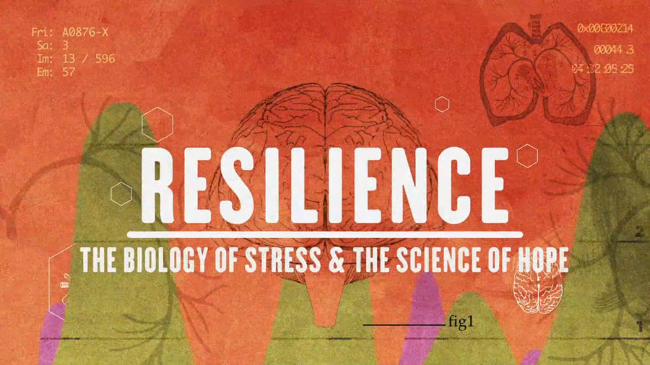 Family lawyers invited to screening of childhood adversity documentary – Resilience