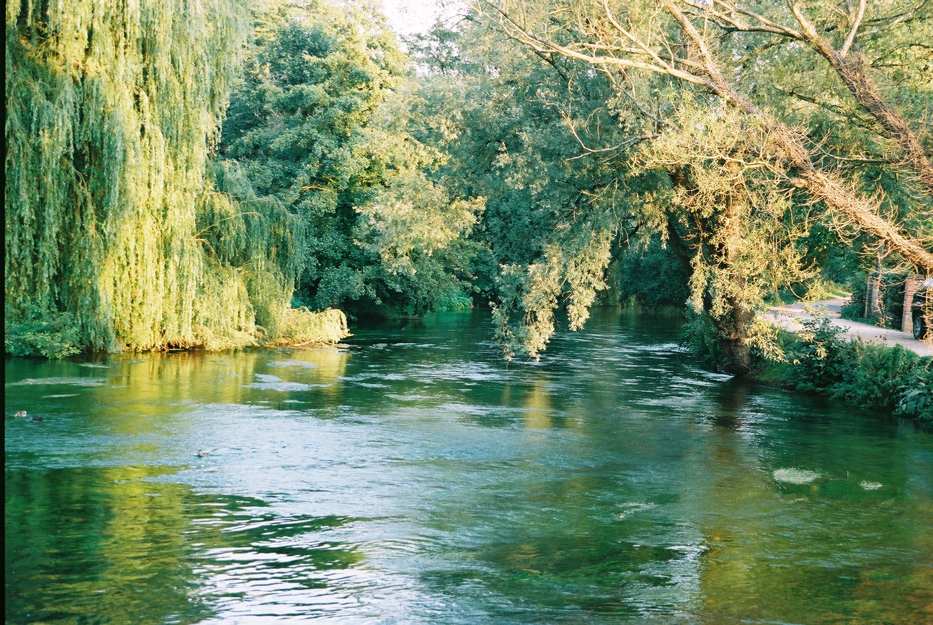 England: River Test granted legal personhood in protection bid