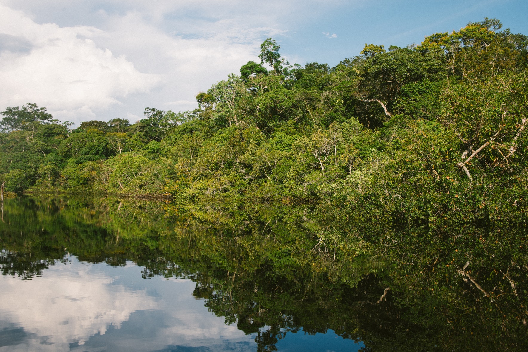 Climate lawyers call on ICC to investigate Bolsonaro over treatment of the Amazon