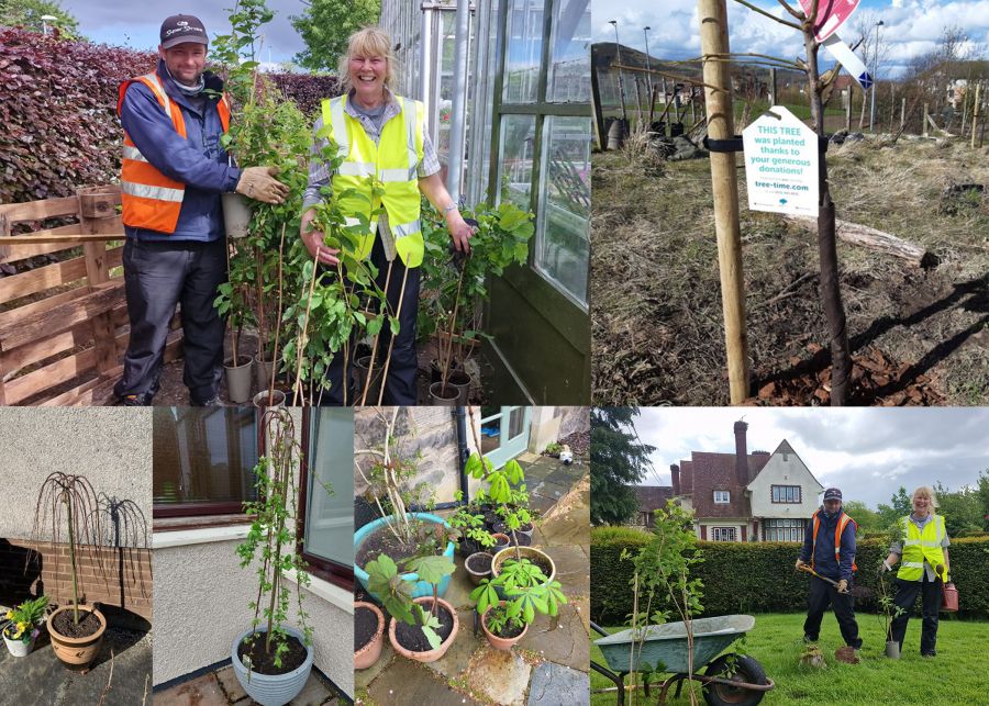 Burness Paull Foundation helps 'Plant a Tree for the Jubilee'