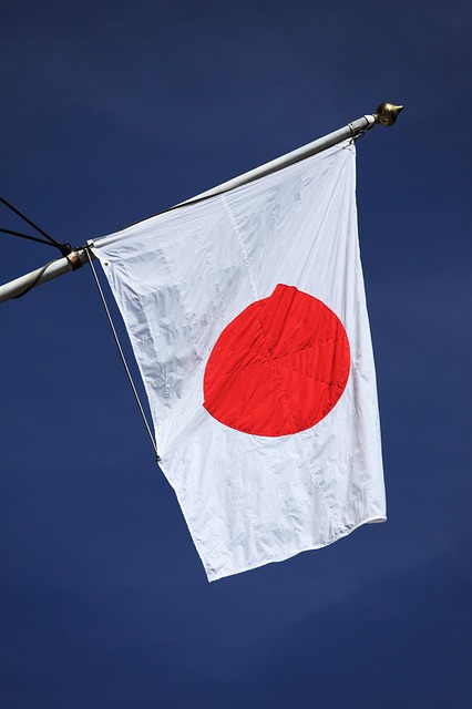 Japan: Court awards damages to victims of eugenics law