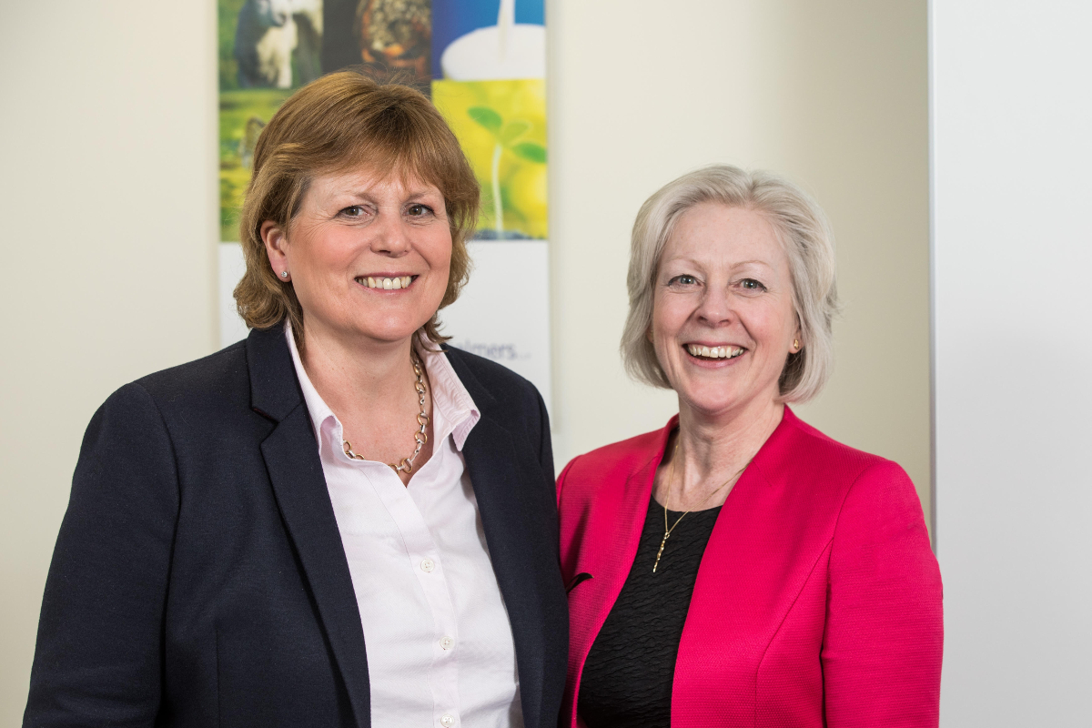 Raft of promotions and appointments at Ledingham Chalmers