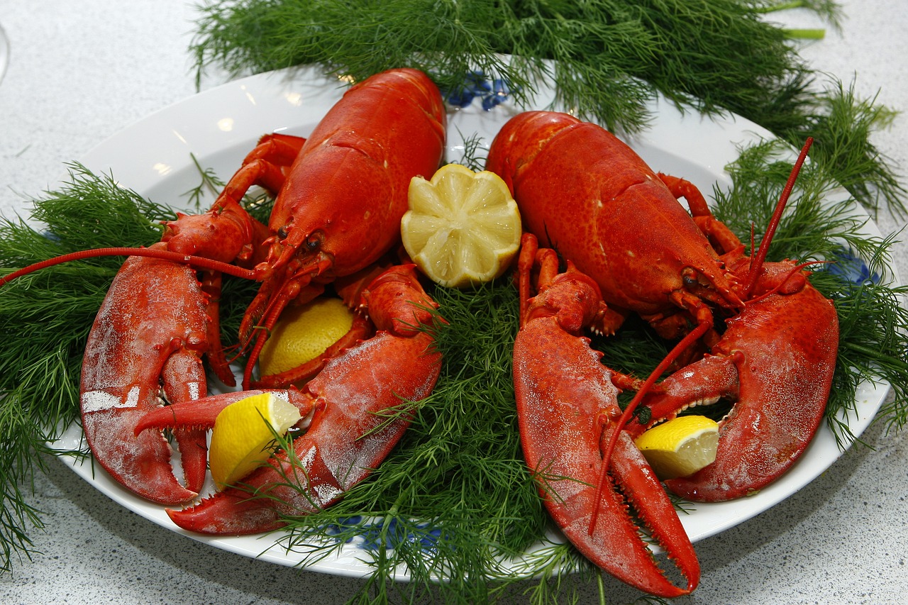 Lobster boiling prompts legal threat from UK animal charity