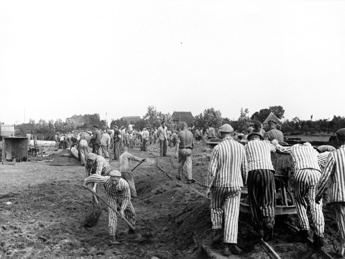US: Concentration camp guard faces extradition to Germany