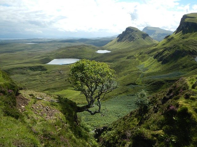 Scottish students to explore 'green criminology'