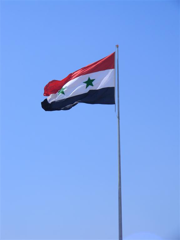 UN report finds Syrian interim government forces likely committed war crimes